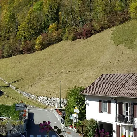 Chez Dario